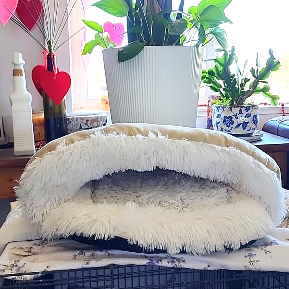 Small pet bed
